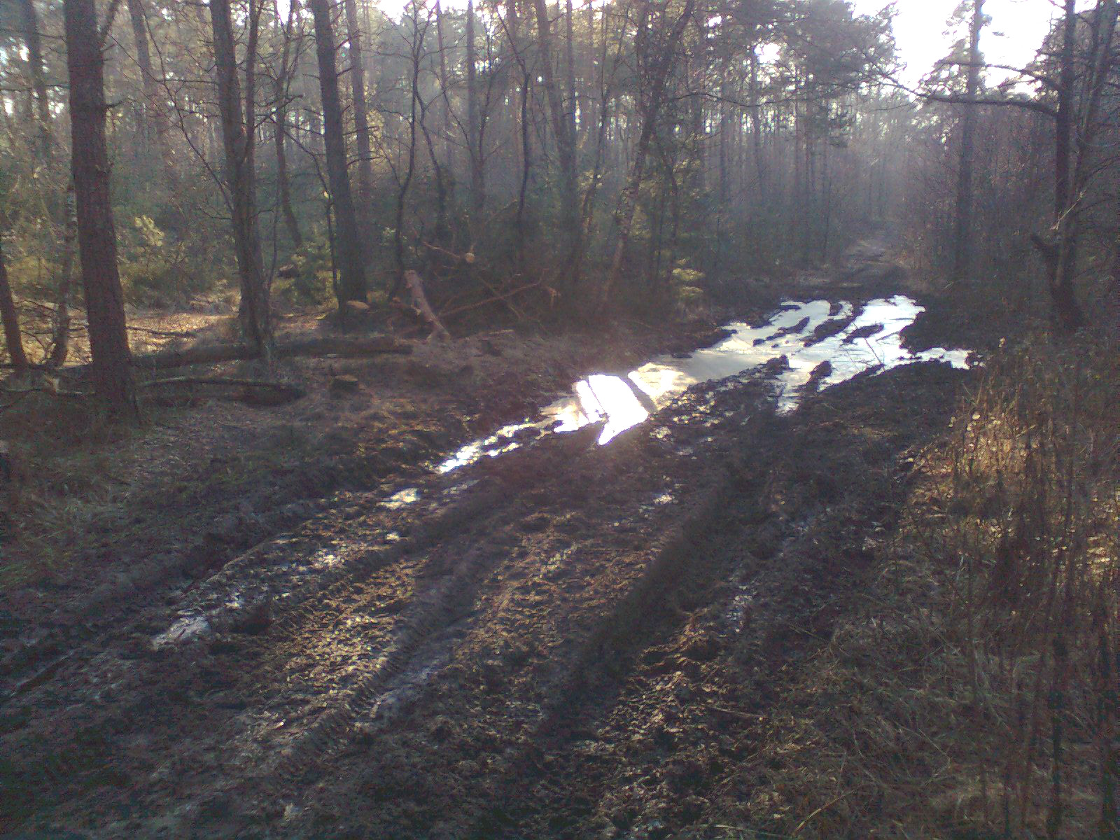 kaputt gefahrene Waldwege